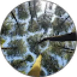 Review From Dyassyifaa N.Z