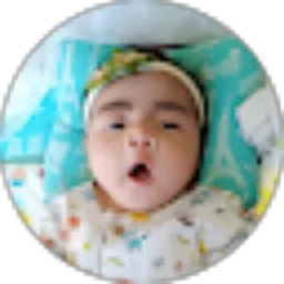 Review From Mrandy pratama