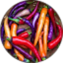 Review From Jenk _You