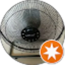 Review From Muslim Muslim