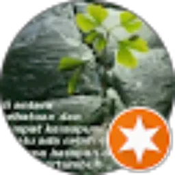 Review From Agus Fitrianto