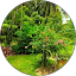 Review From Ayu Ode