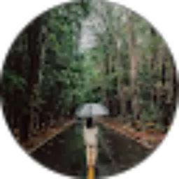 Review From Celine Tanaka