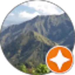 Review From Nik