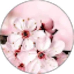 Review From dian nia