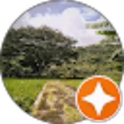 Review From pj. angga