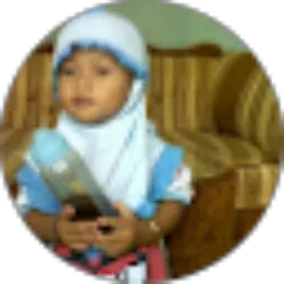 Review From Ciprut OneL
