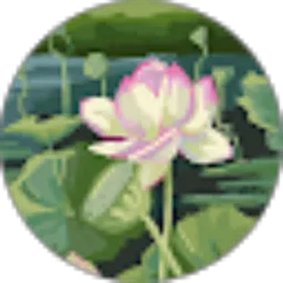 Review From Martin Kayla