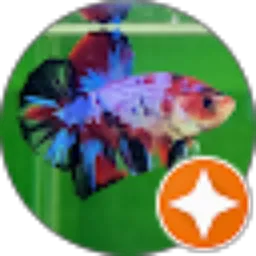 Review From Eds Betta