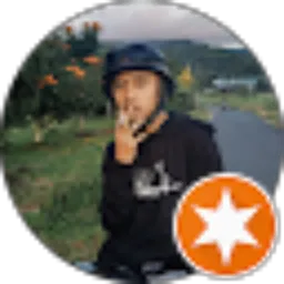Review From A. Fadly