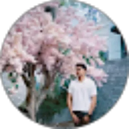 Review From Mohamad Ridwan