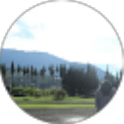 Review From Kusnul Adi