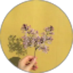 Review From ayisa