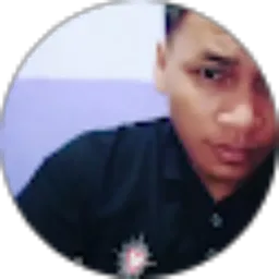 Review From Erik Mahesa