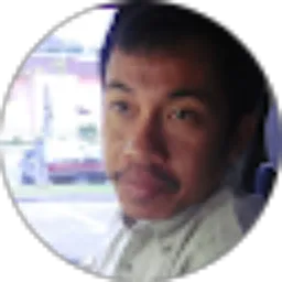 Review From Sapruddin Udin