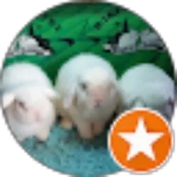 Review From RaKi's Rabbitry