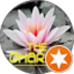Review From Chen K