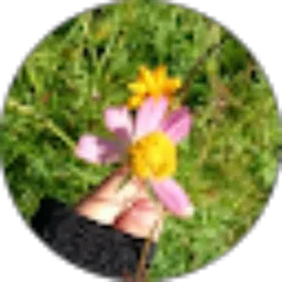 Review From Zeta P