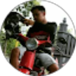 Review From Danies Alvian Ulum