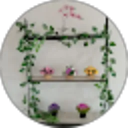 Review From Silvie _n84