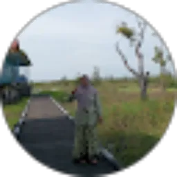 Review From Vina Dilan
