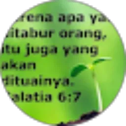 Review From Erna Susanti