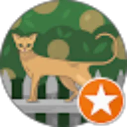 Review From Kiwonglego channel