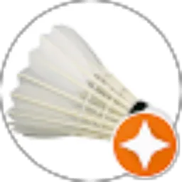 Review From Badminton Sport
