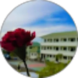 Review From Indani Almalika