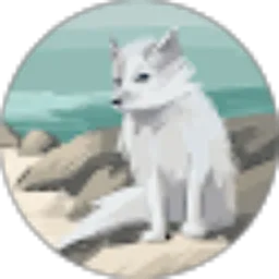 Review From Miko