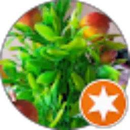 Review From Dadi Sodikin