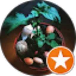Review From Purpleeight Channel
