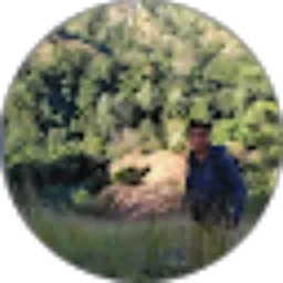 Review From Norbit Runtas