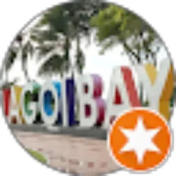 Review From Bintan Taxi Tours and Naga Travel