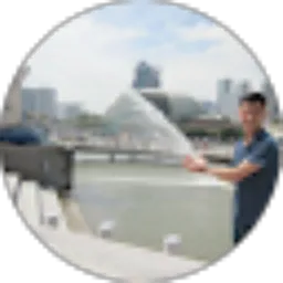 Review From Ivan Lee