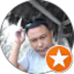 Review From Budiman Setiadhy