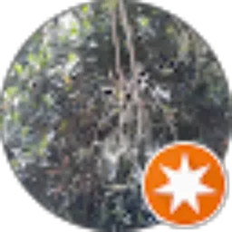 Review From Julvian