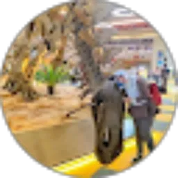 Review From Dessi R. Sari