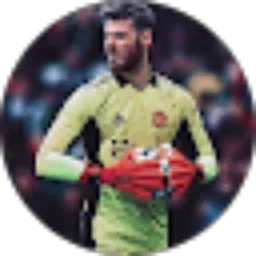 Review From David De Gea