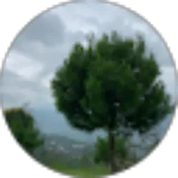 Review From bongkkrek chanel