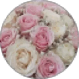 Review From nana happy