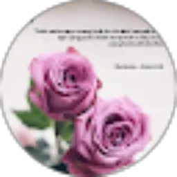 Review From farida ida