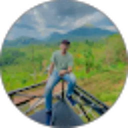 Review From Paulus Prakoso