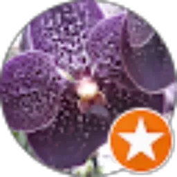 Review From Astri Indriani