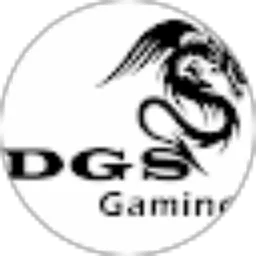 Review From DGS gaming