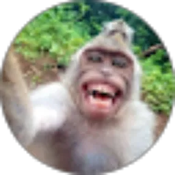 Review From Eiyy `