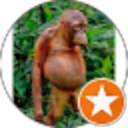 Review From Ritchie