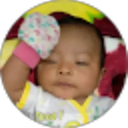 Review From Ikmal Solihin