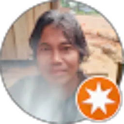 Review From Soesilo Soelistyanto