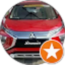 Review From Puguh Imanto